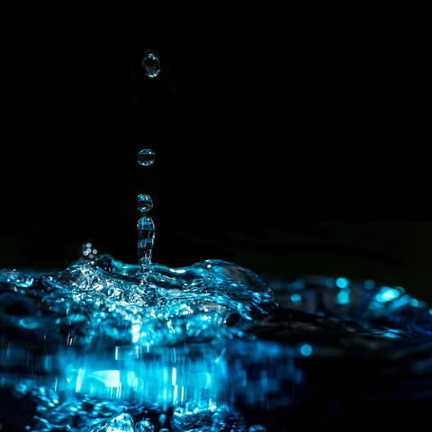Ripple