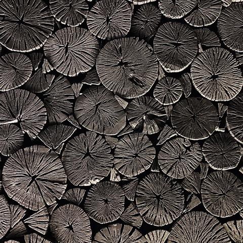 Wood Grain